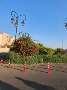 Marina Plaza Tala Bay - 52