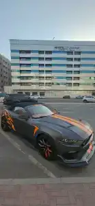 MD By Gewan formerly Cassells - 8