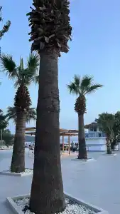 Labranda TMT Bodrum - 25