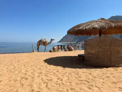 Happy Life Village Dahab - 40