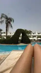 Iberotel Palace - Adults Friendly 16 Years Plus - 91