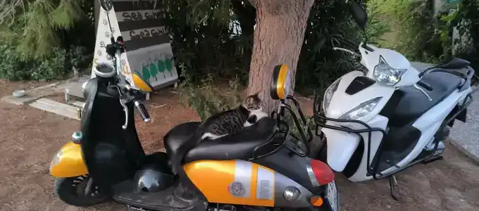 Adalya Resort & Spa Adults Only - Ultra All Inclusive - 55