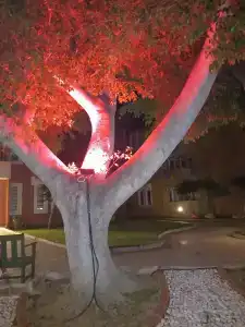 Armas Green Fugla Beach - 49