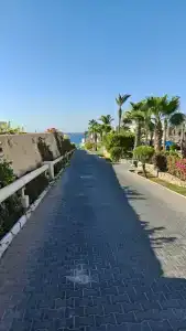 DoubleTree by Hilton Sharks Bay Resort - 31