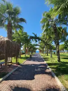 Tuı Magic Life Jacaranda - 100