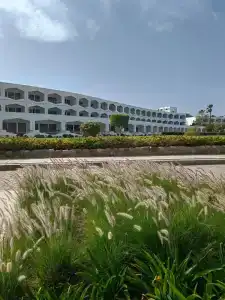 Baron Palms Adults Friendly Only 16 years plus Boutique Style - 32