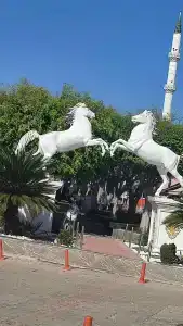 Saphir & Villas - 14