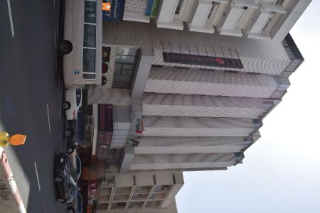Palm Beach - 11