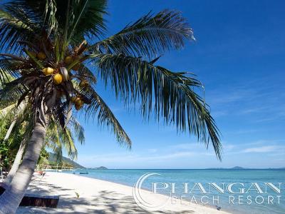 Phangan Beach Resort - 19