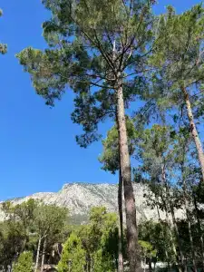 Nirvana Mediterranean Excellence - Ultra All Inclusive - 67