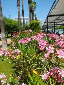 Crystal Centro Resort - Ultimate All Inclusive - 74