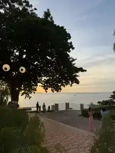 Asia Pattaya - 88
