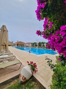 Kamer Exclusive & Suites - 17