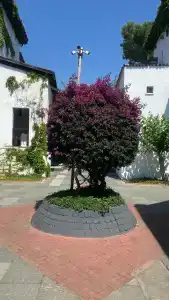 Club Marco Polo - Premium All Inclusive - 54