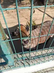 Club Turan Prince World - Kids Concept - 61