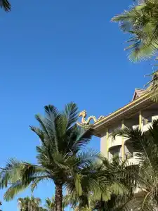 Royal Dragon – All Inclusive - 48