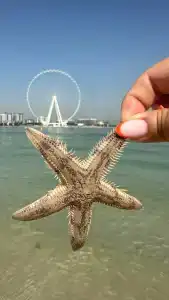 Hilton Dubai Jumeirah - 10