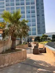 The St. Regis Abu Dhabi - 81