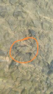 Hawaii Caesar Dreams Resort and Aqua Park - Families and Couples - 94