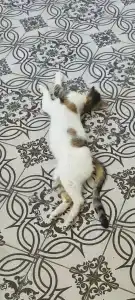 Paloma Family Club - 38