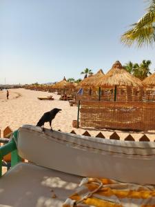 Lotus Bay Resort - 61