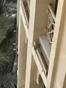 Al Hamra Residence - 54