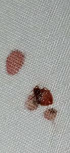 Sun & Sea and Aqua Park - Hurghada - 66