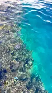 Labranda Sharm Club - 60