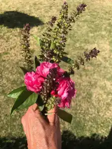 Happy Life Village Dahab - 99