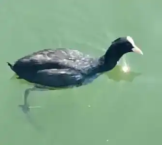 Marvida Family Eco - Ultra All Inclusive & Kids Concept - 43