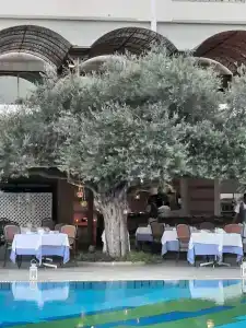 Constantinou Bros Athena Beach - 34