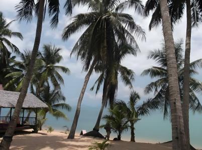 Palm Point Village - 45