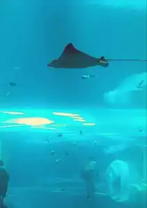 Park Hyatt Abu Dhabi and Villas - 16