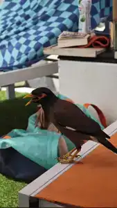 The SIS Kata, Resort - SHA Plus - 76