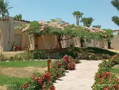 Parrotel Beach Resort - 10