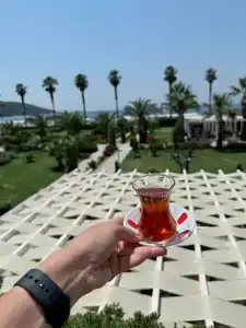 Palm Wings Ephesus Beach Resort - Ultra All Inclusive - 42