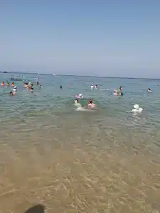 Armas Green Fugla Beach - 17