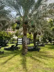 Le Meridien Mina Seyahi Beach Resort & Waterpark - 46