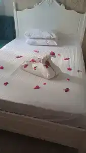 Kleopatra Atlas - Adults Only - 32