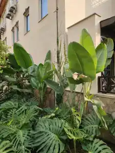 Saphir & Villas - 74