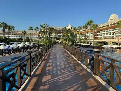 Tuı Magic Life Jacaranda - 2