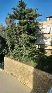 Kleopatra Atlas - Adults Only - 14