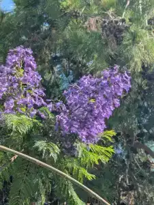 Club Nena - All Inclusive - 85