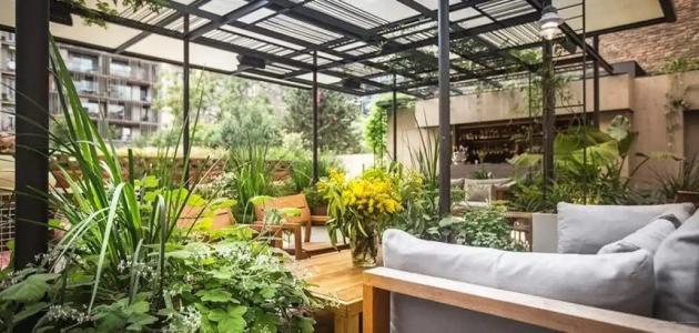 Higuerón Curio Collection by Hilton - 26