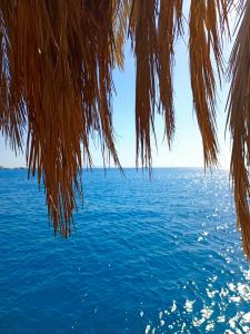Sindbad Club - 26