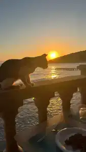 Tusan Beach Resort - All Inclusive - 21