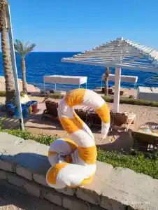 Grand Oasis Resort - 97