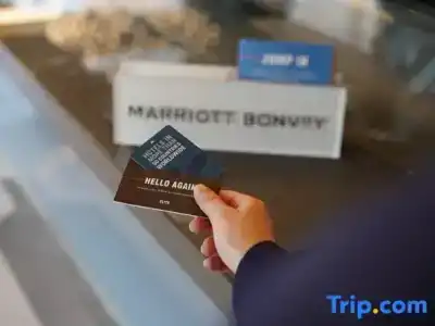 Four Points by Sheraton Istanbul Kagithane - 70