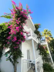 Petunya Beach Resort - 3