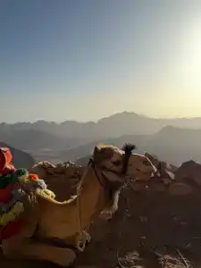 Eden Rock Namaa Bay - 76